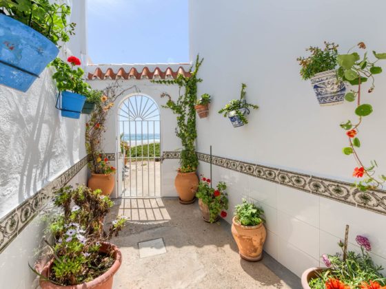 Patio y Cancela - Apartamentos Patio Andaluz - Playa de La Fontanilla (Conil)