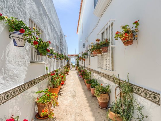 Patio y Cancela al fondo - Apartamentos Patio Andaluz - Playa de La Fontanilla (Conil)