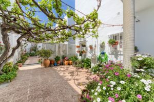 Patio Trasero - Apartamentos Patio Andaluz - Playa de La Fontanilla (Conil)