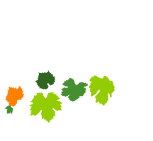 Logotipo Blanco Apartamentos Patio Andaluz - Playa de La Fontanilla (Conil)